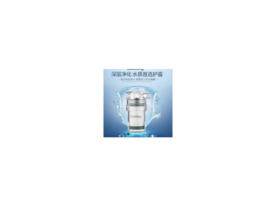 Bidetking kitchen scale inhibitor filter imported filter element scale removal water purifier home f