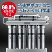 German Dexter water purifier household direct drinking ultrafiltration water purifier kitchen stainl